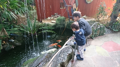 14日・キャンカー旅行②オキフルと琉球村！